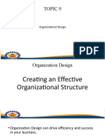 TOPIC 9 Organization Design