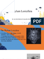 Phylum Loricifera