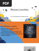 Phylum Loricifera