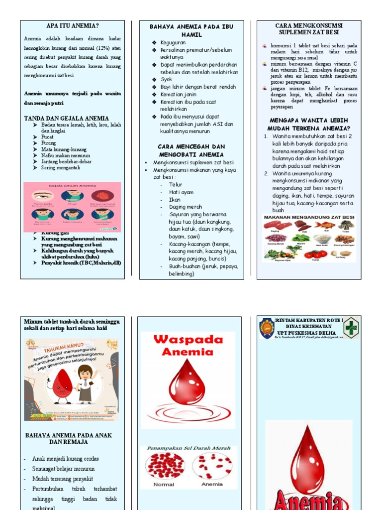 Leaflet Anemia | PDF