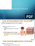 A.1 Integumentary System Final COPY