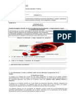 5° A B Ciencias Sistema Circulatorio Erika