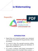 Audio Watermarking