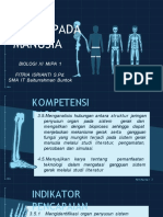 Media Pembelajaran 1