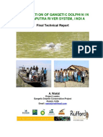 Conservation of Gangetic Dolphins in Brahmaputra River