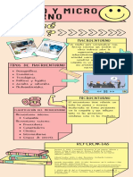 Infografía Micro y Macroentorno