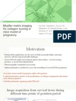 Mueller Matrix Imaging Technique