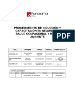 Sigso.p006 Procedimiento Inducción y Capacitación Ssoma