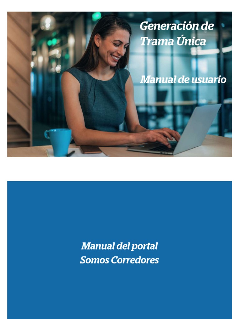 Manual Del Usuario PDF