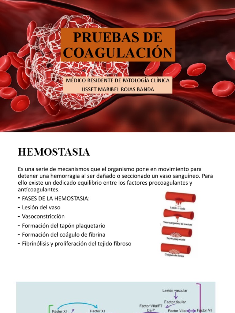 Pruebas de Coagulación | PDF | Coagulación | Plaqueta