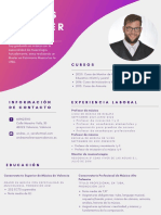 Curriculum Vitae 1