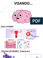 Anatomia e citologia do colo uterino