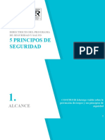 5 Principios de Seguridad