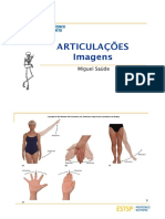 Articulacoes Imagens