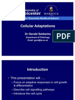 Cell Mechanism