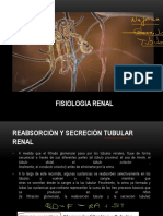 Fisiologia Renal II