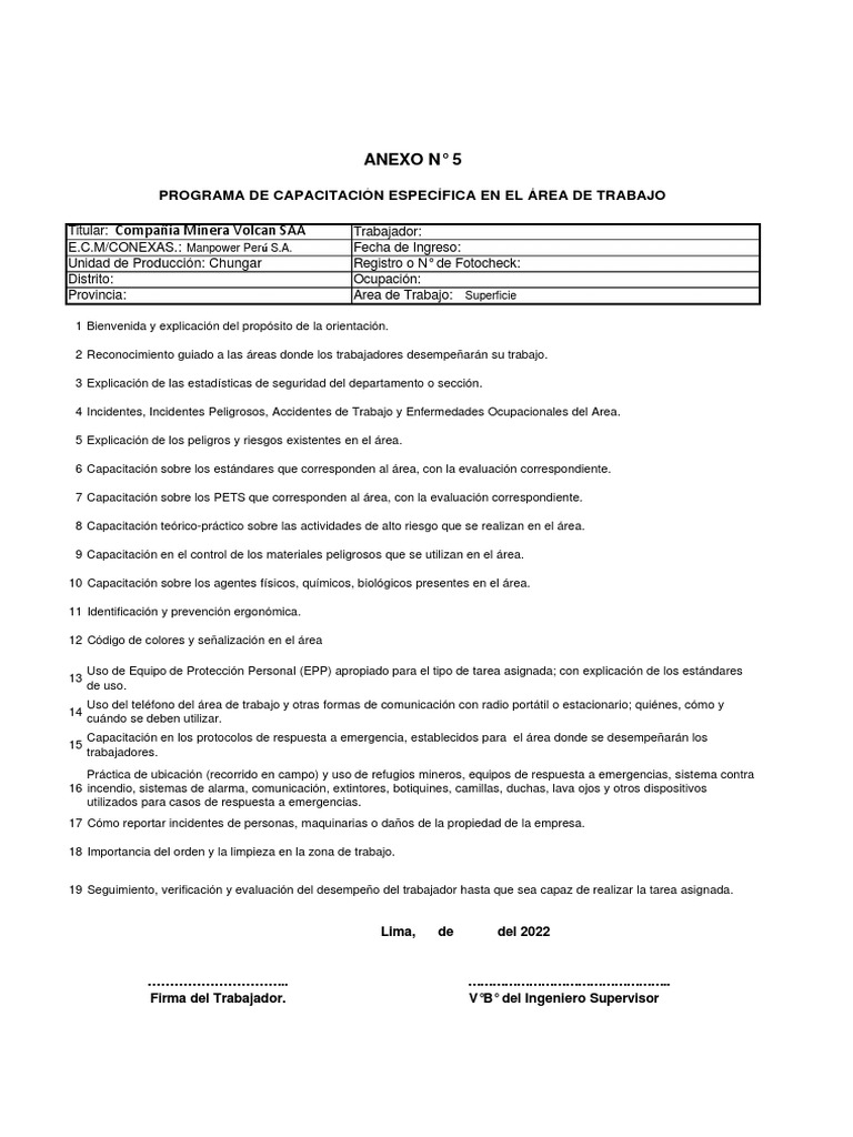Capacitación en Seguridad Laboral Minera | PDF | La seguridad