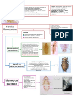 PIOLHO - Família Menoponidae