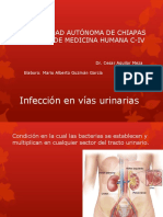 Infección en Vías Urinarias