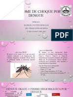 Síndrome de Choque Por Dengue
