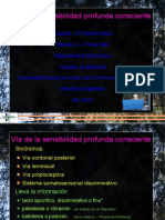 00 Clase En1 5 Minutos Sensibilidad Profunda Consciente