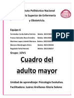 Adult o Mayor