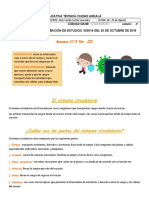 Sistema Circulatorio - Ciencias Naturales 4°