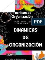 Tecnicas de Organización