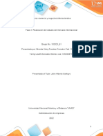 Fase 2 - Realizacion Del Estudio Del Mercado Internacional