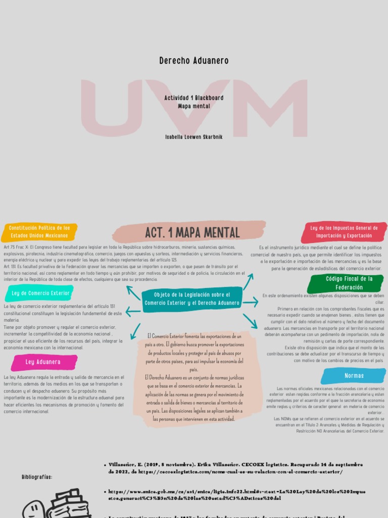 Mapa Mental de Derecho Aduanero | PDF | Arancel | El comercio internacional