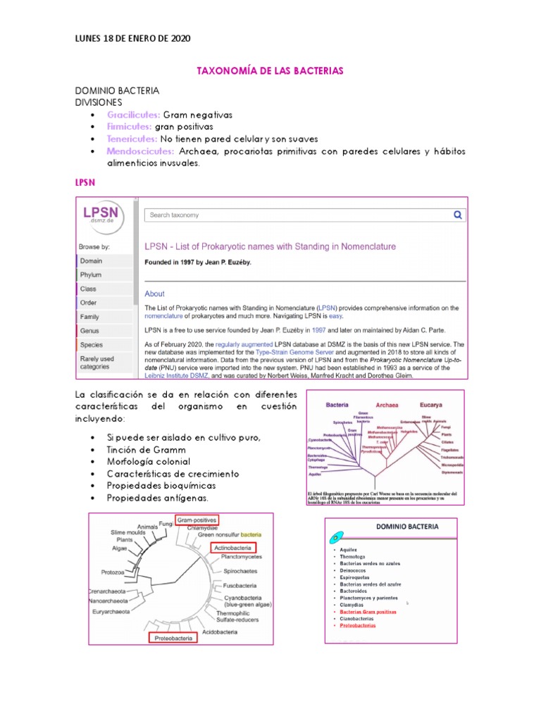 Taxonomía de Las Bacterias PDF Pseudomonas Biología Celular)
