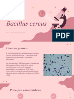 Bacillus Cereus