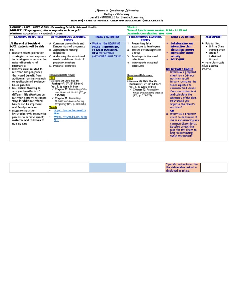 Nursing Students' Guide to Maternal Health | PDF | Maternal Health ...
