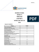 Chapter 6 Business Studies Grade 12 Notes On CSR and Csi