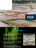 Pond Based Tilapia Hatchery Management