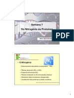 Do Nitrogênio às Proteínas: Assimilação e Síntese
