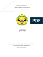 PDF LP Stemi Igd