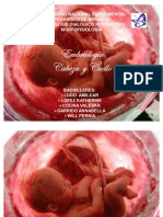 Embriologia Diapositivas