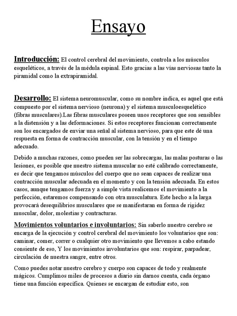 Estructura del Sistema Neuromuscular | PDF | Músculo esquelético