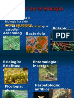 Ramas de La Biología