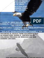 el aguila