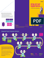 VVT Process Flow Overview Brochure