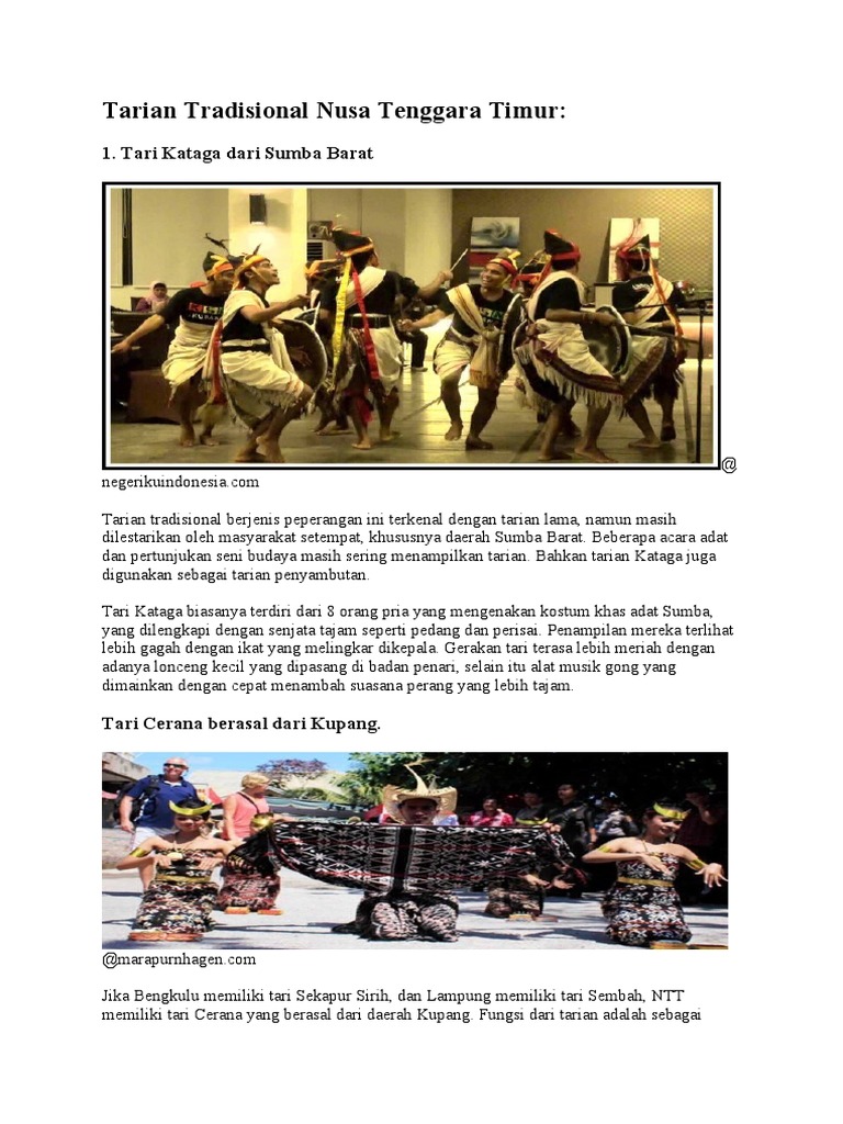 Tari NTB penari tradisional Nusa Tenggara Barat dalam pertunjukan budaya