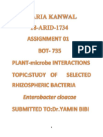 Assignment 1 - Selected Rhizospheric Bacteria