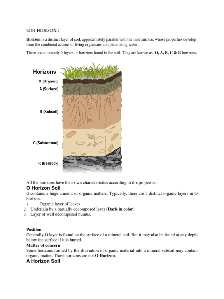 WHAT ARE SOIL HORIZONS CLASS 7 intelligence overview