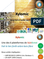 Xyloforest 