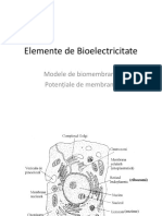 Curs 5MG Biopotentiale 1