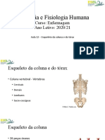 4 - Esqueleto Da Coluna e Tórax