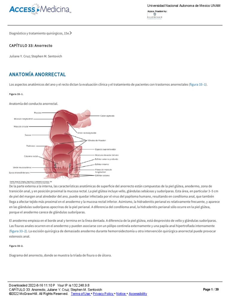 CAPÍTULO 33 Anorrecto | PDF | Hemorroides | Cáncer colonrectal