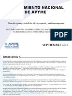 Relevamiento Apyme - Septiembre 2022